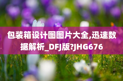 包装箱设计图图片大全,迅速数据解析_DFJ版?JHG676