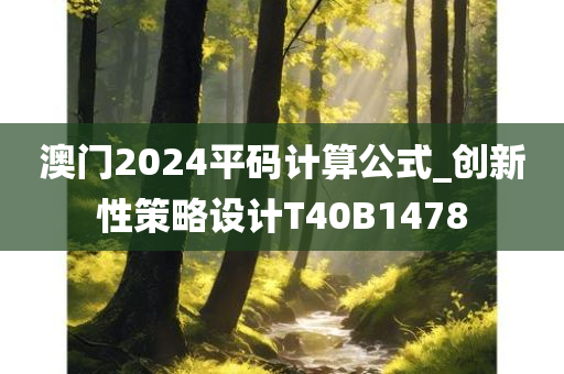 澳门2024平码计算公式_创新性策略设计T40B1478