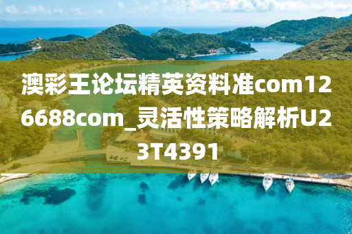 澳彩王论坛精英资料准com126688com_灵活性策略解析U23T4391