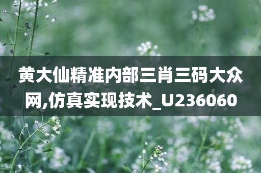 黄大仙精准内部三肖三码大众网,仿真实现技术_U236060