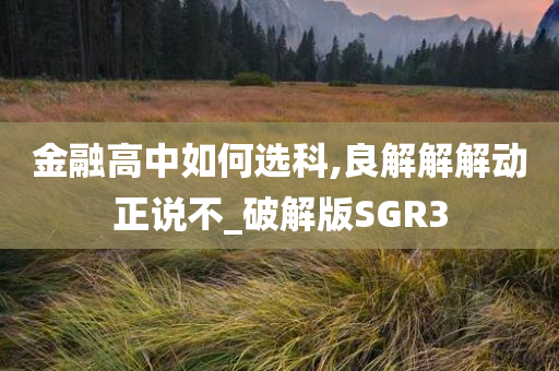 金融高中如何选科,良解解解动正说不_破解版SGR3