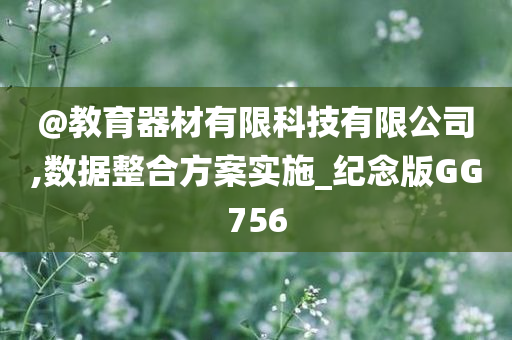 @教育器材有限科技有限公司,数据整合方案实施_纪念版GG756