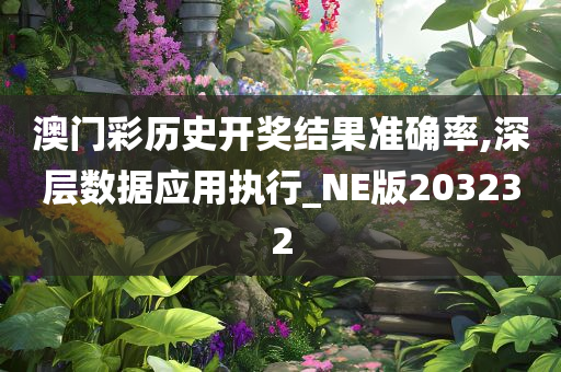 澳门彩历史开奖结果准确率,深层数据应用执行_NE版203232