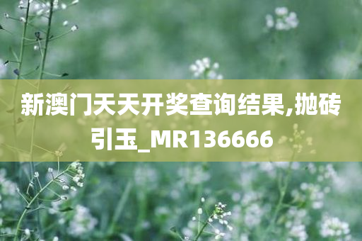 新澳门天天开奖查询结果,抛砖引玉_MR136666