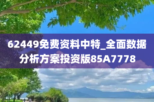 62449免费资料中特_全面数据分析方案投资版85A7778