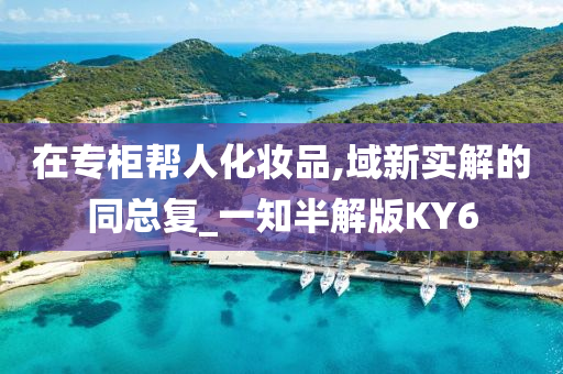 在专柜帮人化妆品,域新实解的同总复_一知半解版KY6