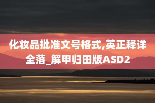 化妆品批准文号格式,英正释详全落_解甲归田版ASD2