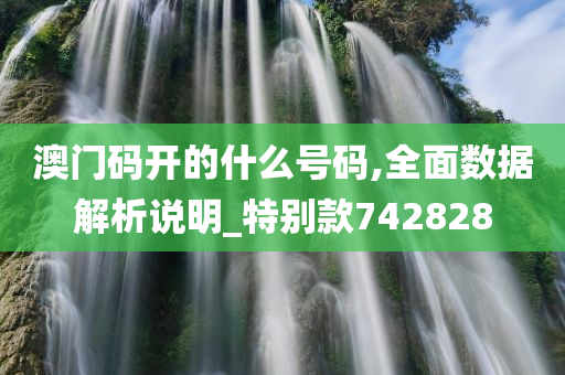 澳门码开的什么号码,全面数据解析说明_特别款742828