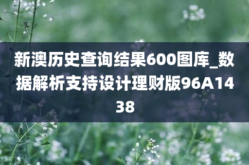 新澳历史查询结果600图库_数据解析支持设计理财版96A1438