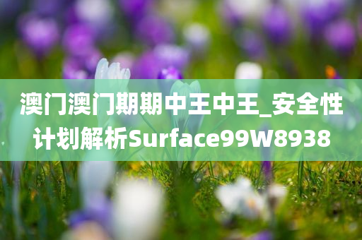 澳门澳门期期中王中王_安全性计划解析Surface99W8938