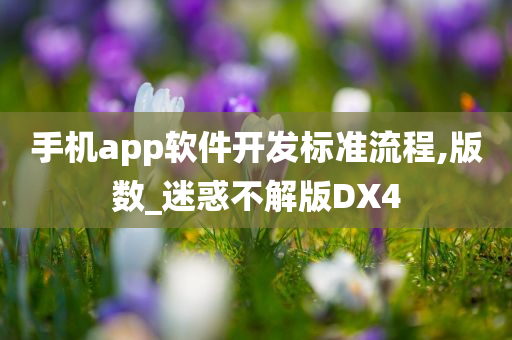 手机app软件开发标准流程,版数_迷惑不解版DX4