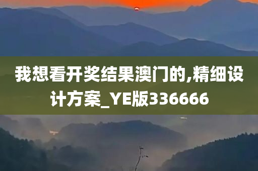 我想看开奖结果澳门的,精细设计方案_YE版336666