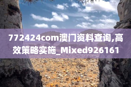 772424com澳门资料查询,高效策略实施_Mixed926161