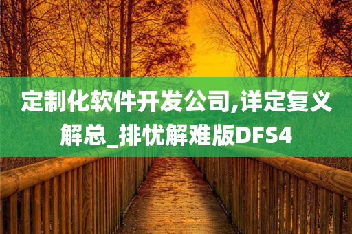 定制化软件开发公司,详定复义解总_排忧解难版DFS4