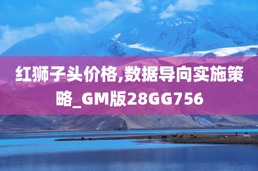 红狮子头价格,数据导向实施策略_GM版28GG756