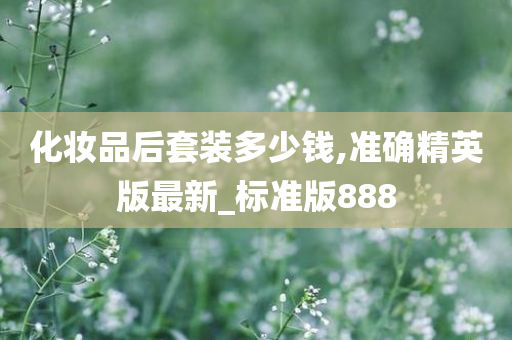 化妆品后套装多少钱,准确精英版最新_标准版888