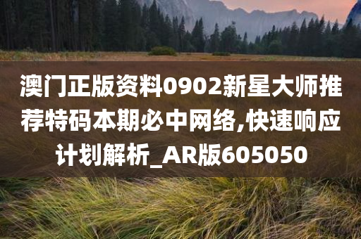 澳门正版资料0902新星大师推荐特码本期必中网络,快速响应计划解析_AR版605050