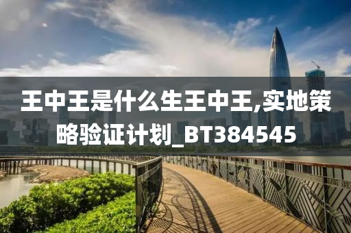 王中王是什么生王中王,实地策略验证计划_BT384545