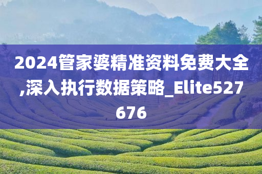 2024管家婆精准资料免费大全,深入执行数据策略_Elite527676