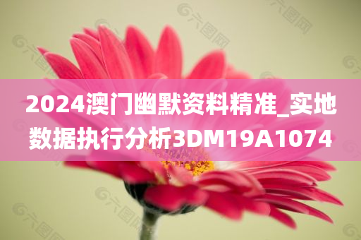 2024澳门幽默资料精准_实地数据执行分析3DM19A1074