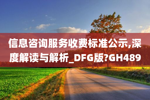 信息咨询服务收费标准公示,深度解读与解析_DFG版?GH489