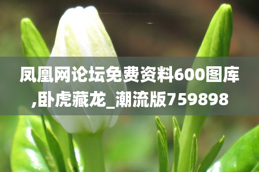 凤凰网论坛免费资料600图库,卧虎藏龙_潮流版759898