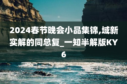 2024春节晚会小品集锦,域新实解的同总复_一知半解版KY6