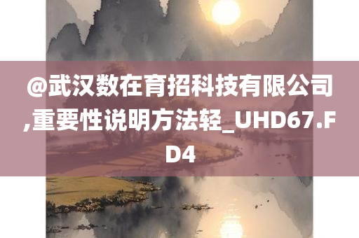 @武汉数在育招科技有限公司,重要性说明方法轻_UHD67.FD4