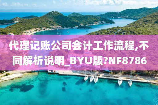 代理记账公司会计工作流程,不同解析说明_BYU版?NF8786