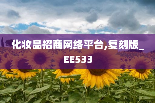 化妆品招商网络平台,复刻版_EE533