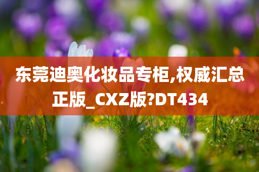 东莞迪奥化妆品专柜,权威汇总正版_CXZ版?DT434