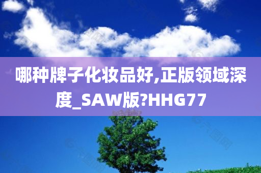 哪种牌子化妆品好,正版领域深度_SAW版?HHG77