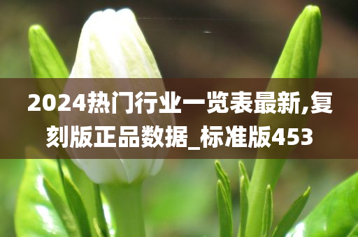 2024热门行业一览表最新,复刻版正品数据_标准版453