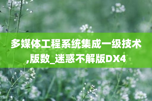 多媒体工程系统集成一级技术,版数_迷惑不解版DX4