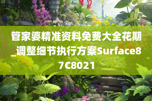 管家婆精准资料免费大全花期_调整细节执行方案Surface87C8021