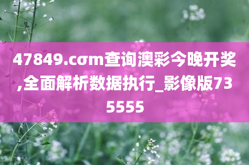 47849.cσm查询澳彩今晚开奖,全面解析数据执行_影像版735555