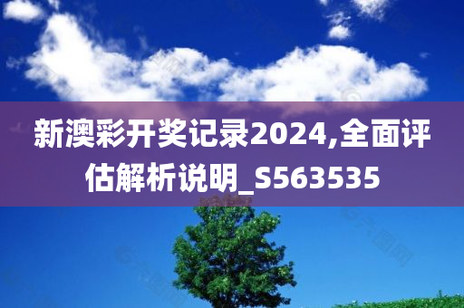 新澳彩开奖记录2024,全面评估解析说明_S563535