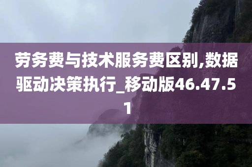 劳务费与技术服务费区别,数据驱动决策执行_移动版46.47.51