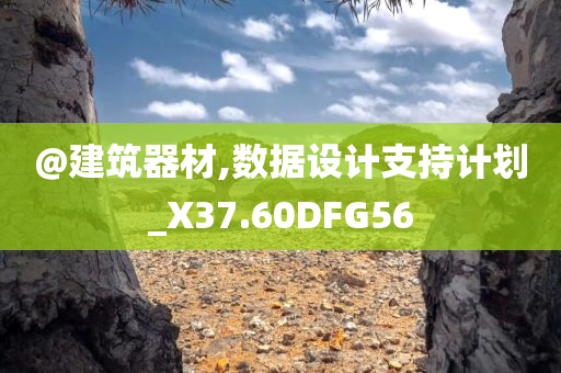 @建筑器材,数据设计支持计划_X37.60DFG56