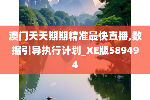 澳门天天期期精准最快直播,数据引导执行计划_XE版589494