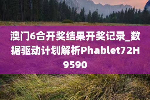 澳门6合开奖结果开奖记录_数据驱动计划解析Phablet72H9590