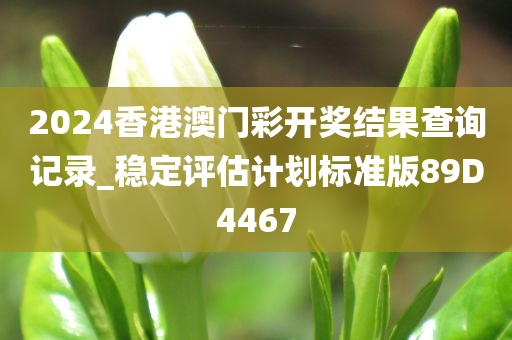 2024香港澳门彩开奖结果查询记录_稳定评估计划标准版89D4467