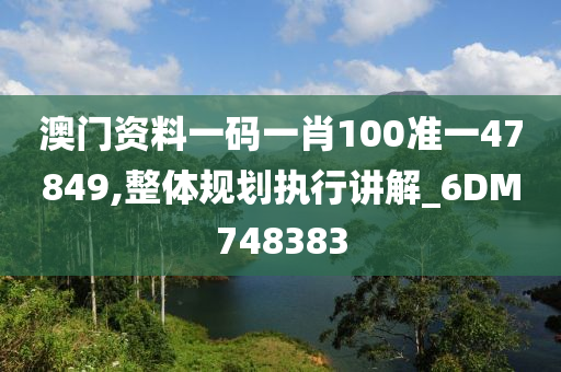 澳门资料一码一肖100准一47849,整体规划执行讲解_6DM748383