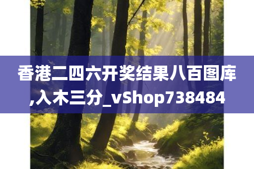 香港二四六开奖结果八百图库,入木三分_vShop738484