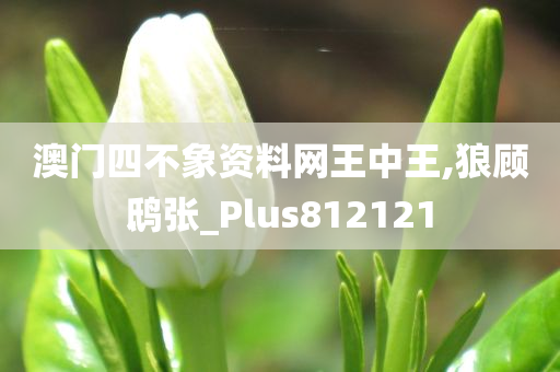 澳门四不象资料网王中王,狼顾鸱张_Plus812121