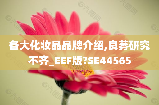 各大化妆品品牌介绍,良莠研究不齐_EEF版?SE44565