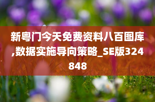 新粤门今天免费资料八百图库,数据实施导向策略_SE版324848