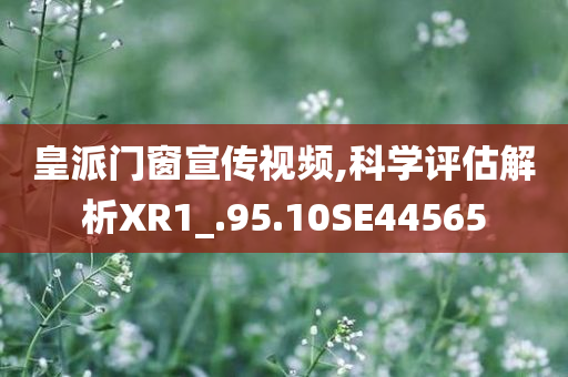 皇派门窗宣传视频,科学评估解析XR1_.95.10SE44565