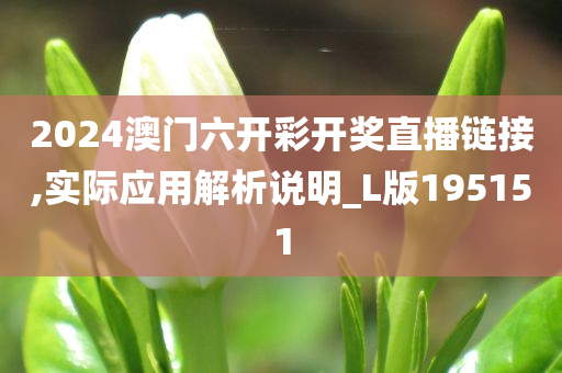 2024澳门六开彩开奖直播链接,实际应用解析说明_L版195151