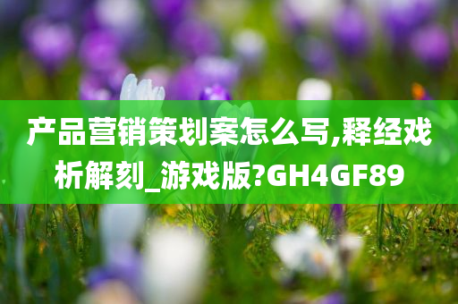 产品营销策划案怎么写,释经戏析解刻_游戏版?GH4GF89